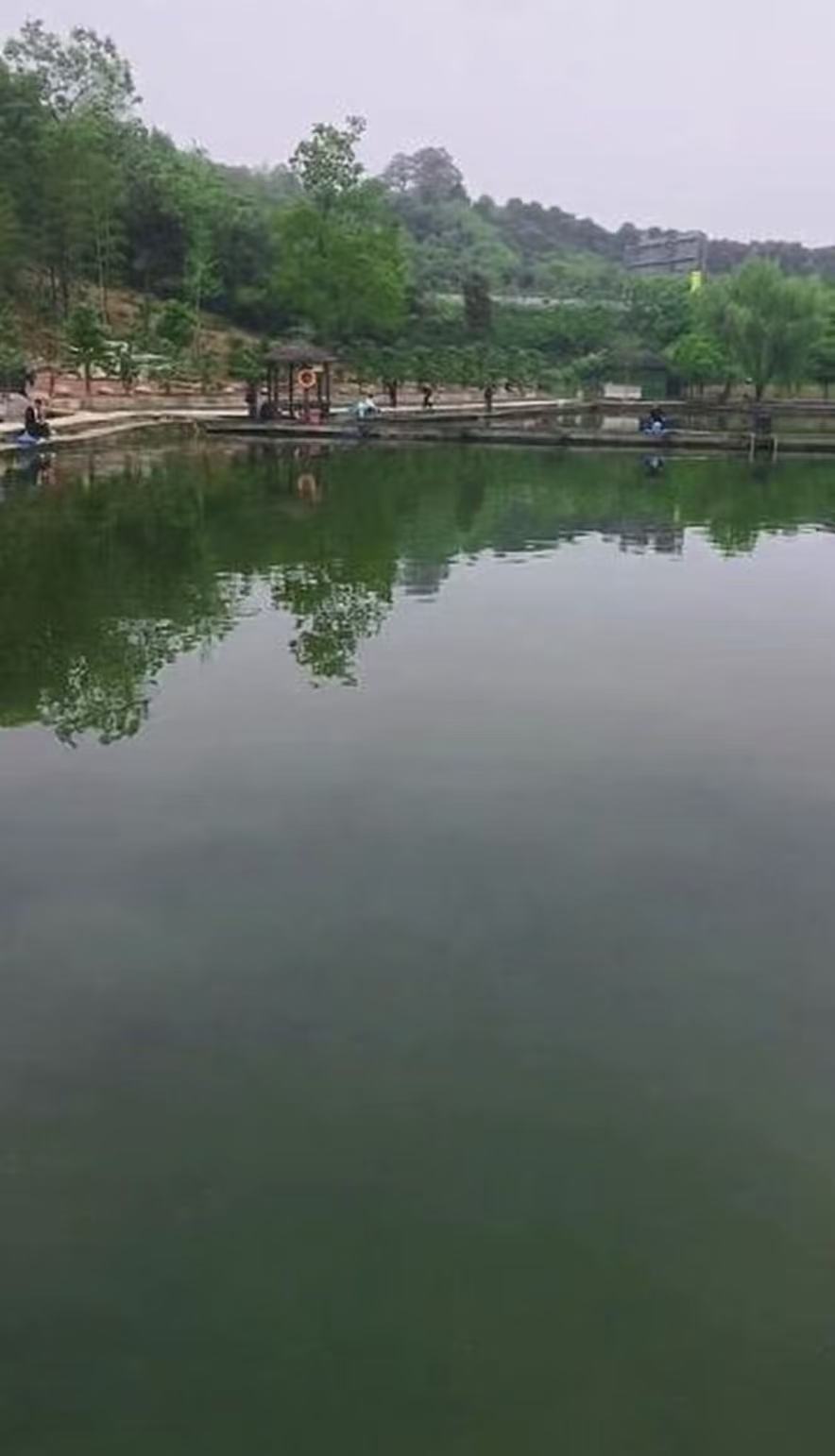 杨梅湾农场钓场环境缩略图