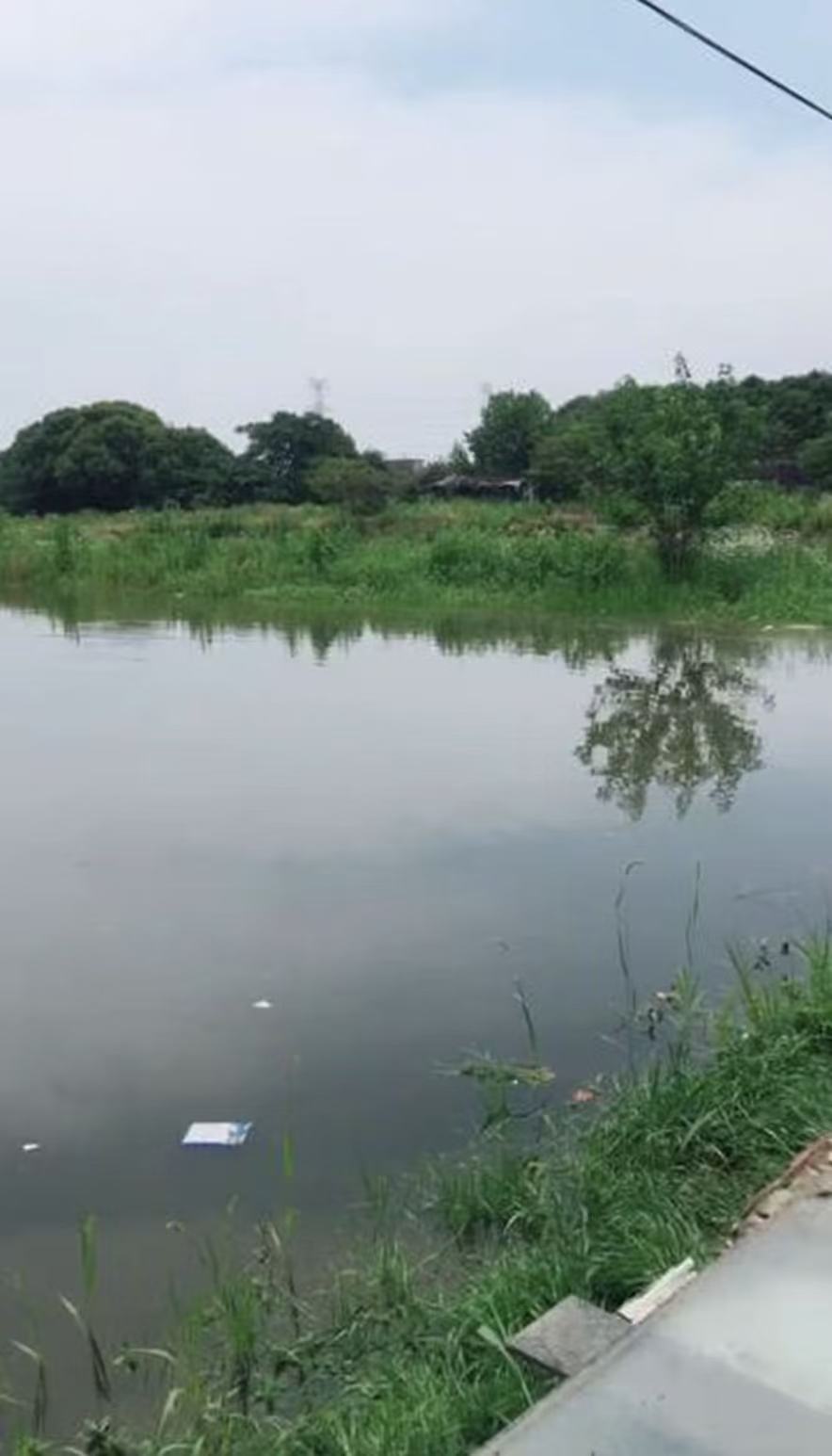 塘泾洋垂钓中心钓场环境缩略图