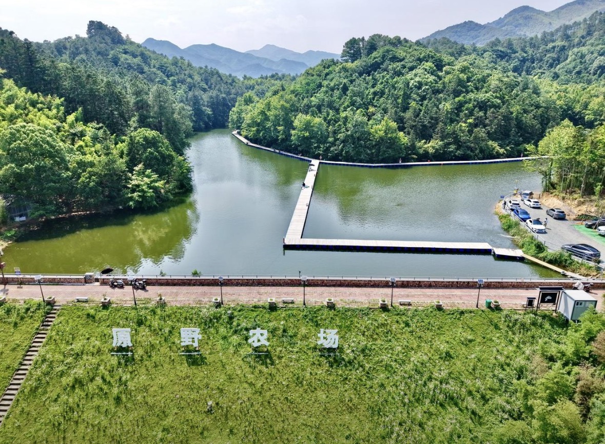 原野水库钓场钓场环境照片