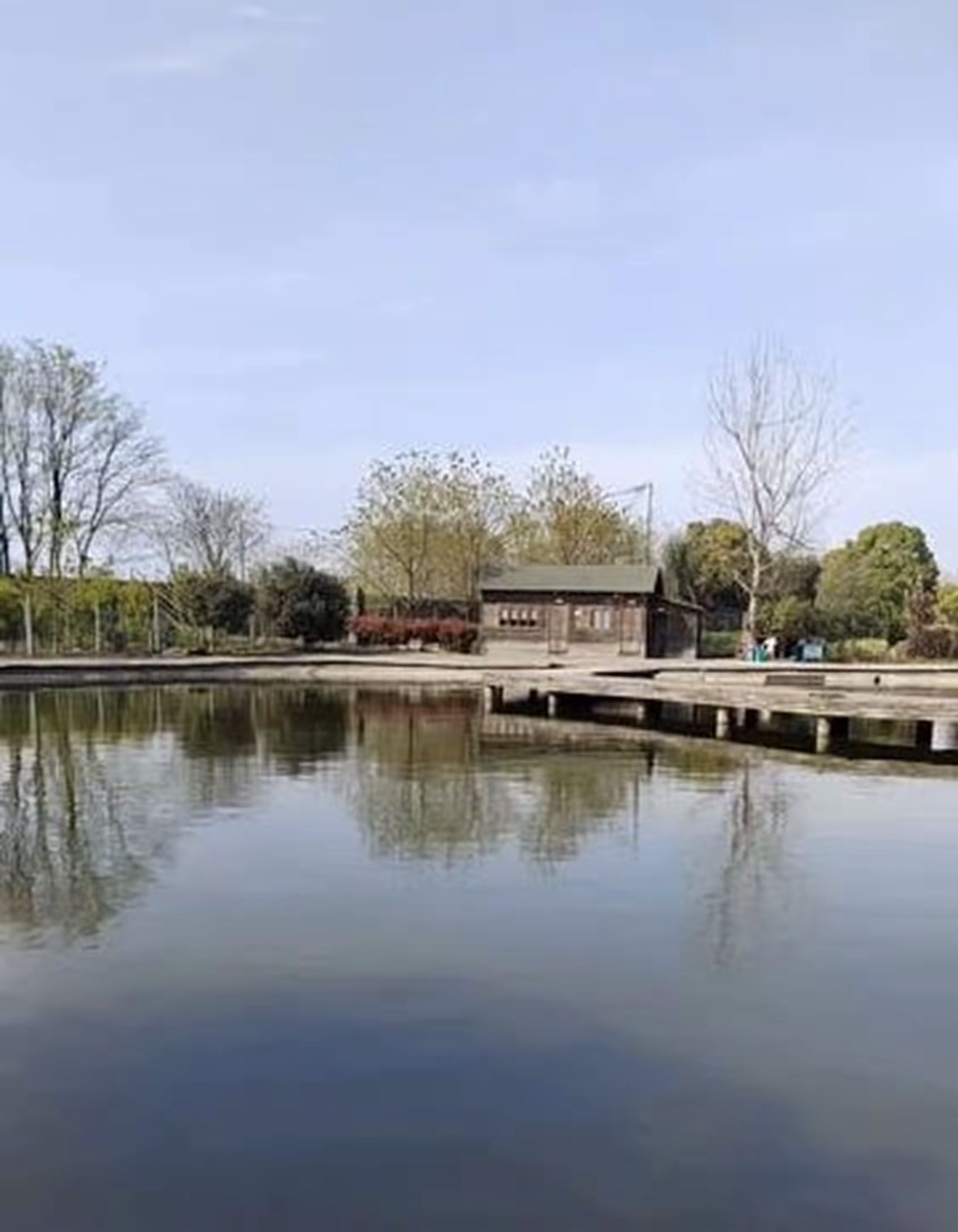钱帅农场钓场环境缩略图
