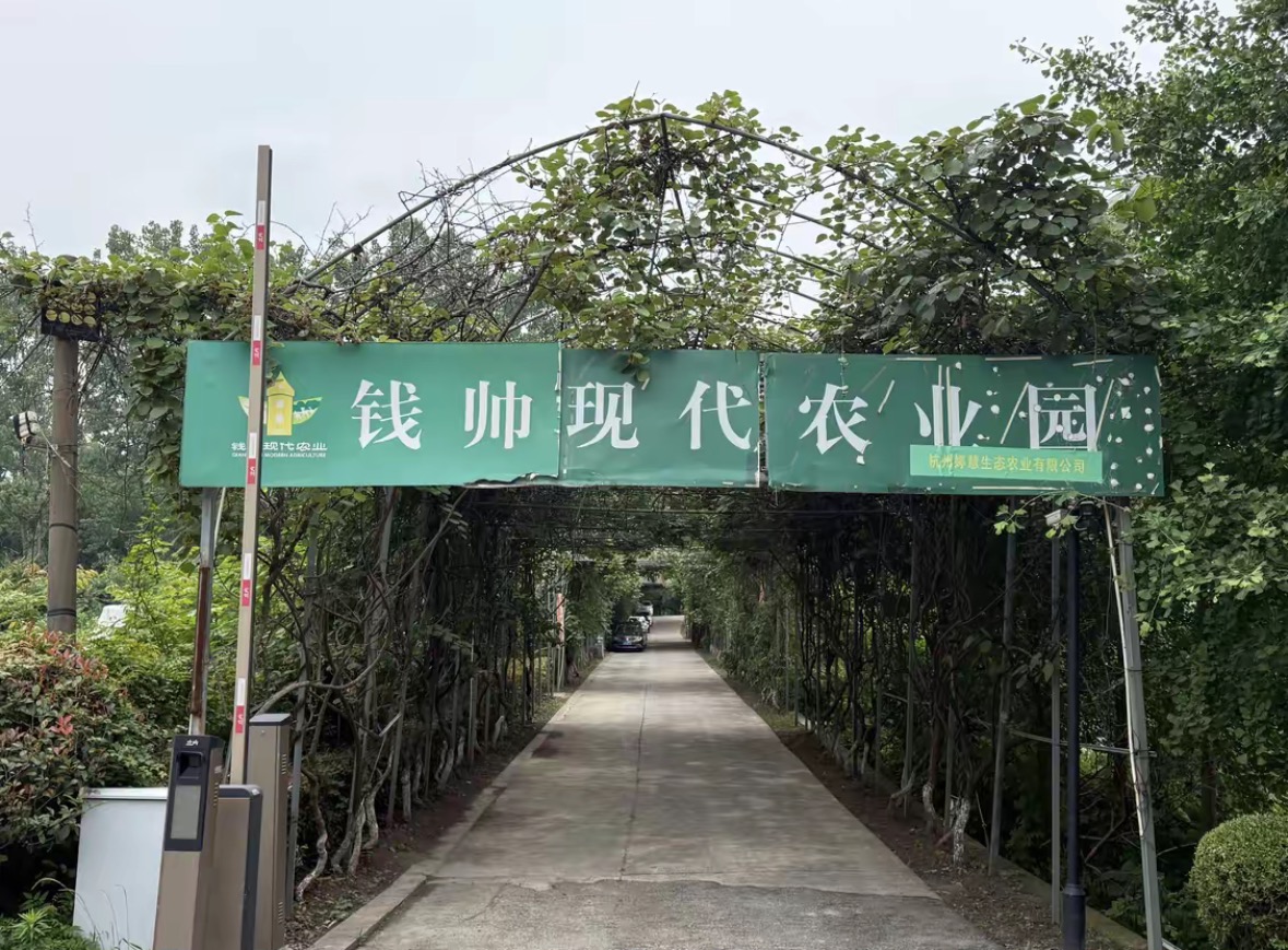 钱帅农场钓点与钓场环境照片