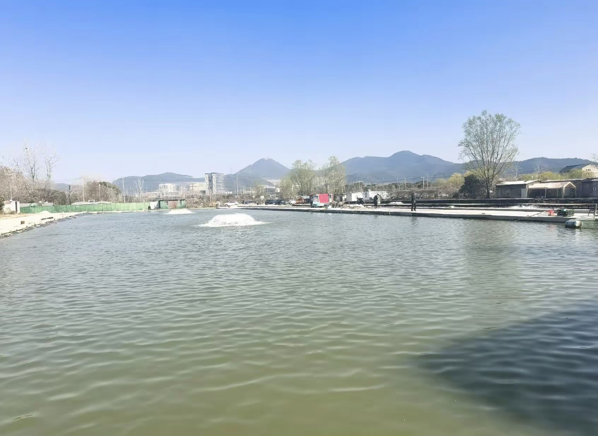 新世纪钓场钓场环境缩略图