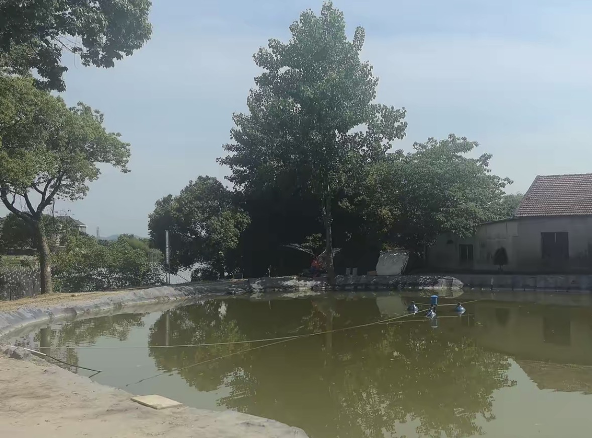 清水湾钓场钓点与钓场环境照片