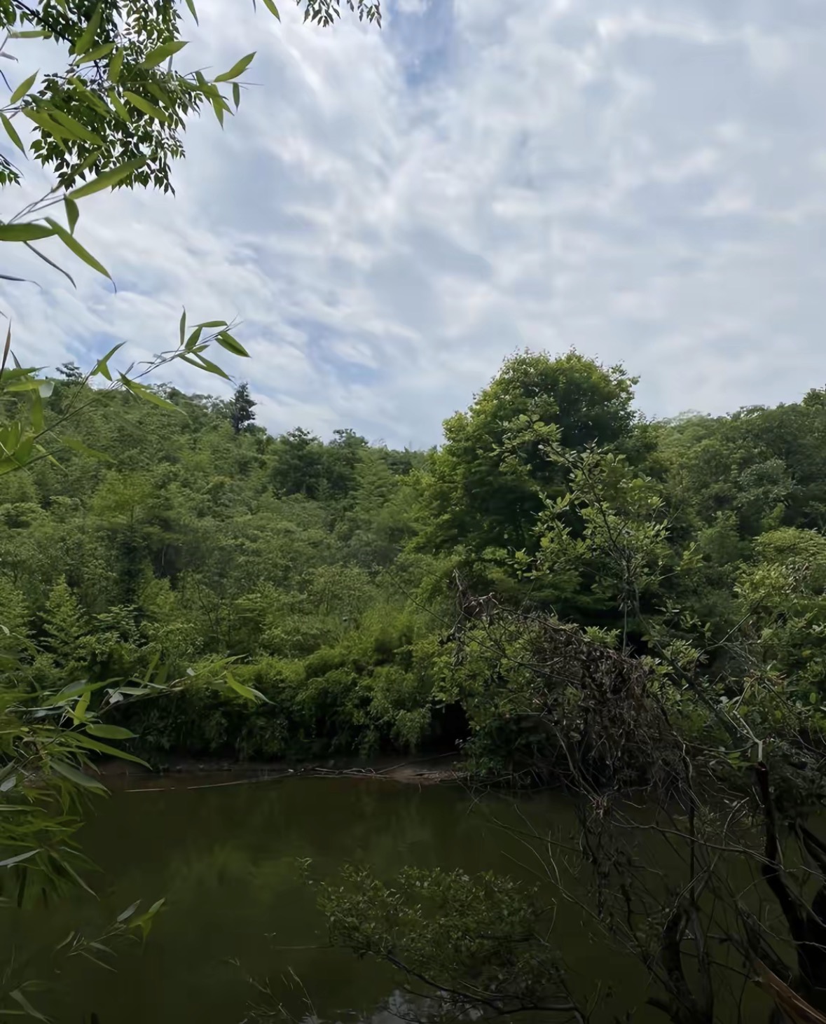 南山坑休闲垂钓中心钓场环境缩略图