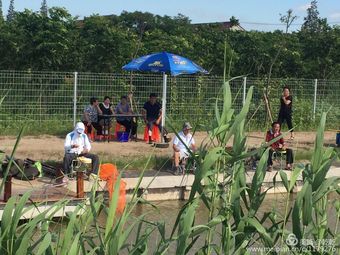 虹桥垂钓园钓场环境照片