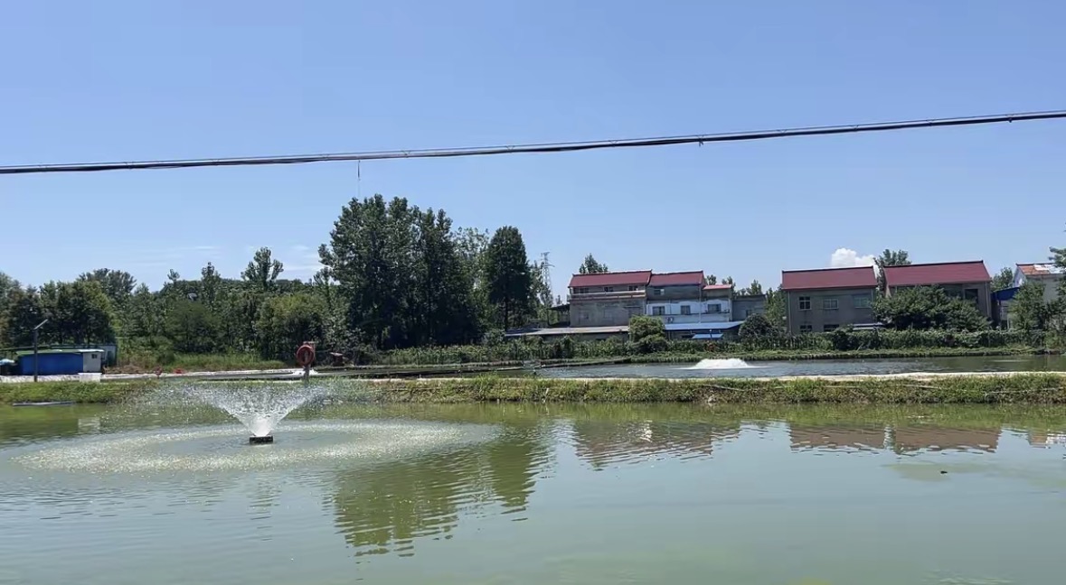 汇友垂钓中心钓点与钓场环境照片