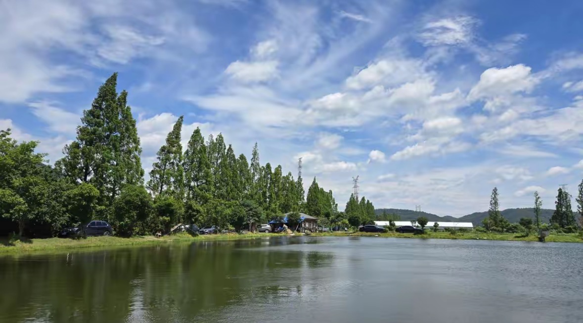 杭州金马鱼庄垂钓基地钓场环境缩略图