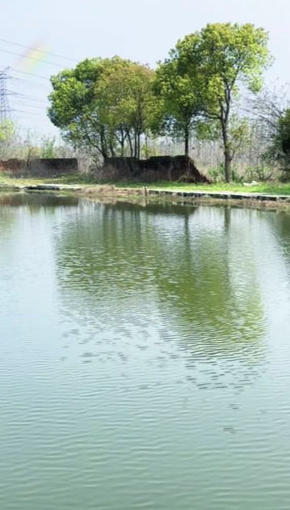 小杰钓场钓场环境缩略图