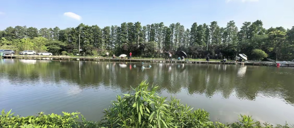 一一钓场钓场环境缩略图