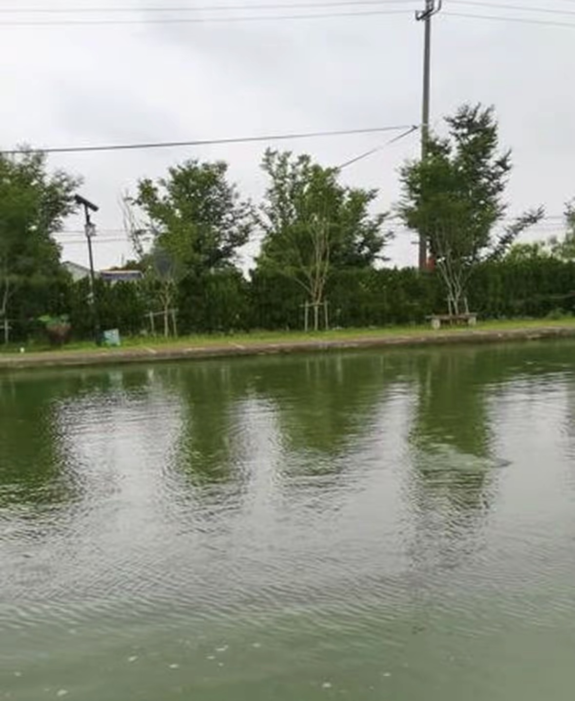 南浔区垂钓基地(新荻村垂钓中心)钓场环境缩略图