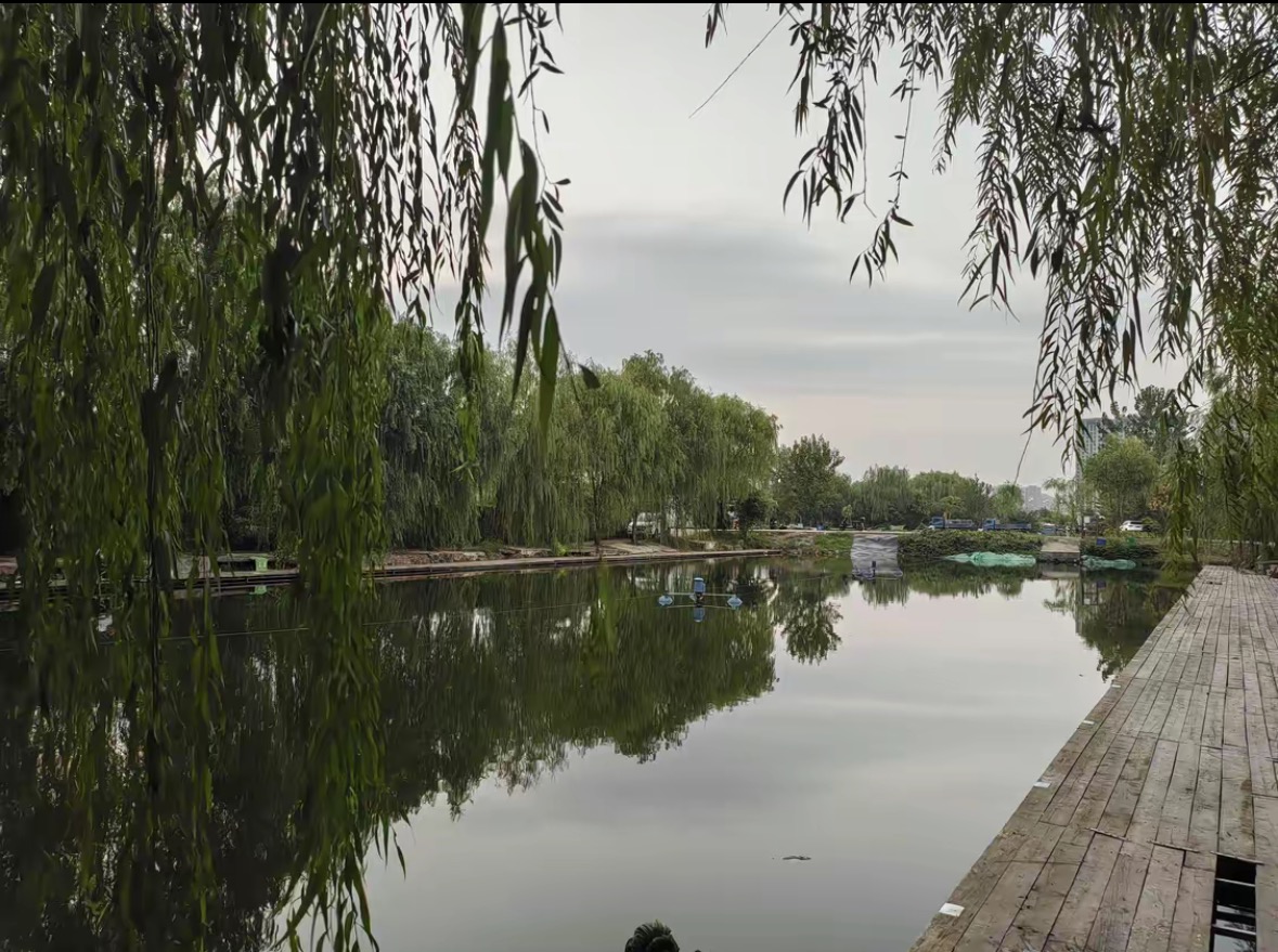 东湖欢乐钓场钓点与钓场环境照片