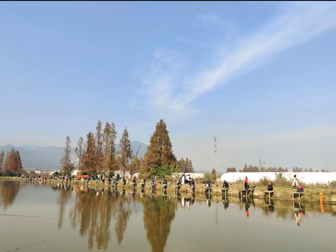 杭州金马鱼庄垂钓基地钓场环境缩略图