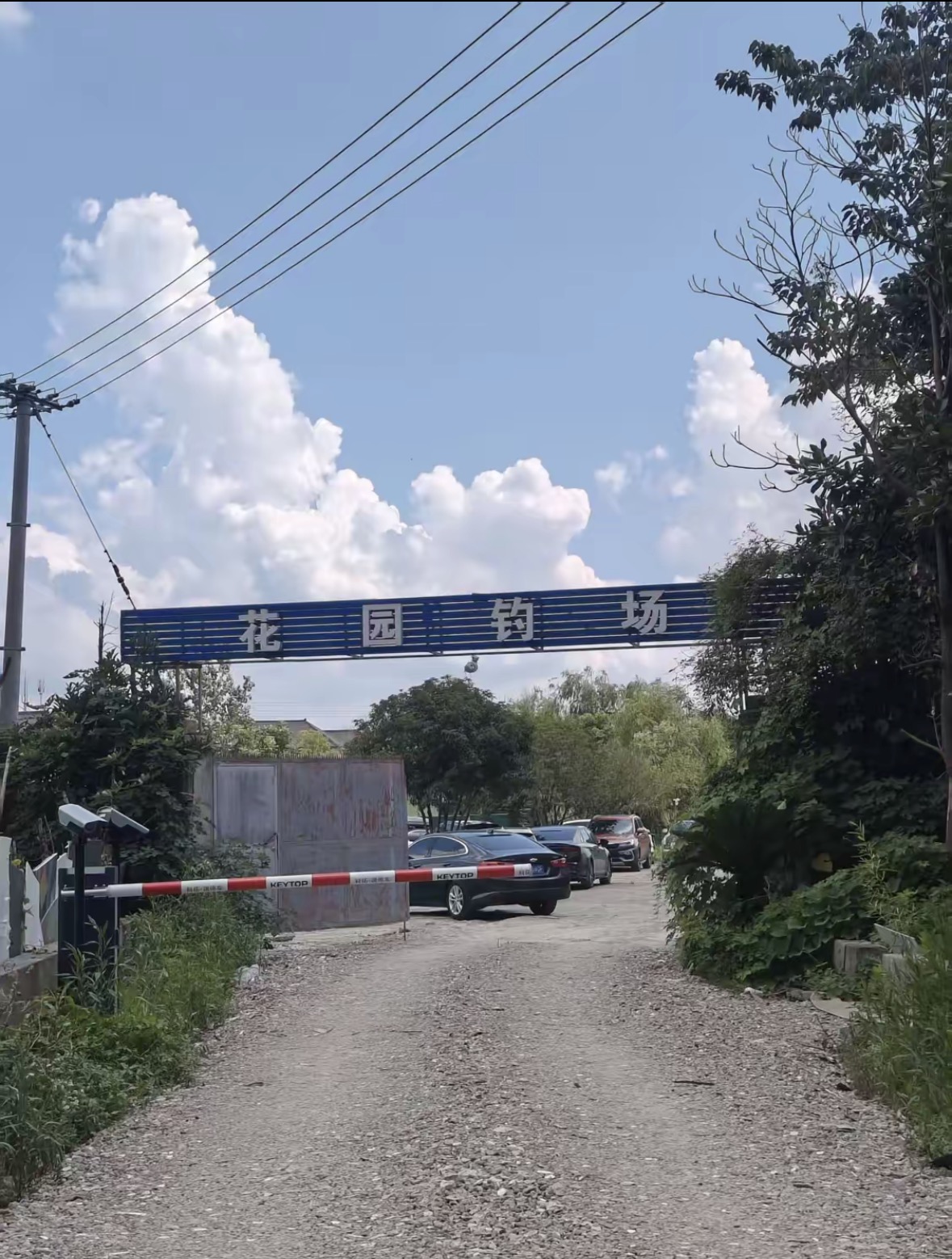 萧山花园钓场钓点与钓场环境照片