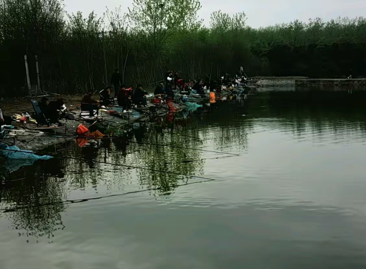 合肥小卫休闲垂钓中心钓场环境缩略图