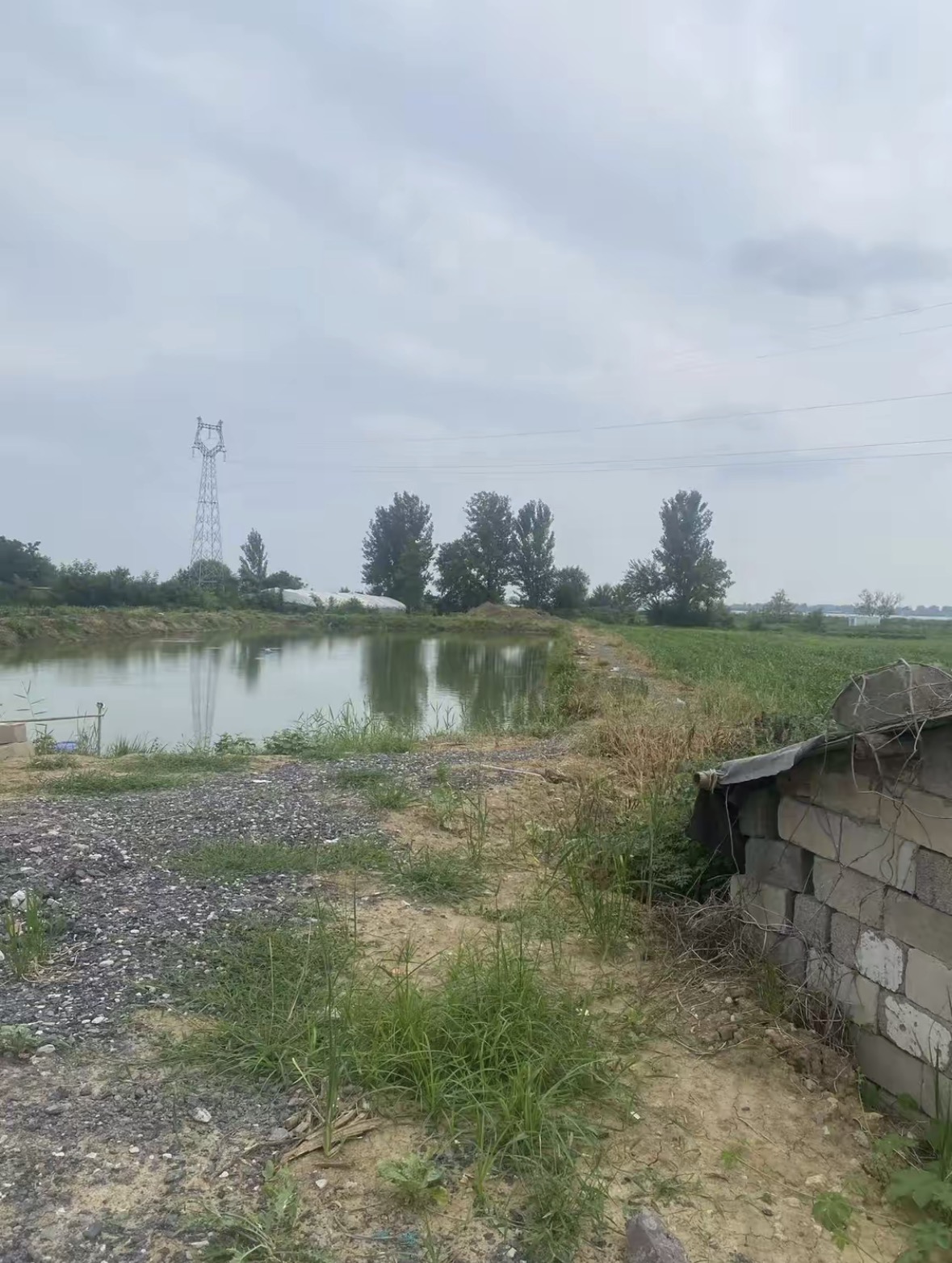 江湖鱼舍凤台快乐e天休闲垂钓园钓场环境缩略图