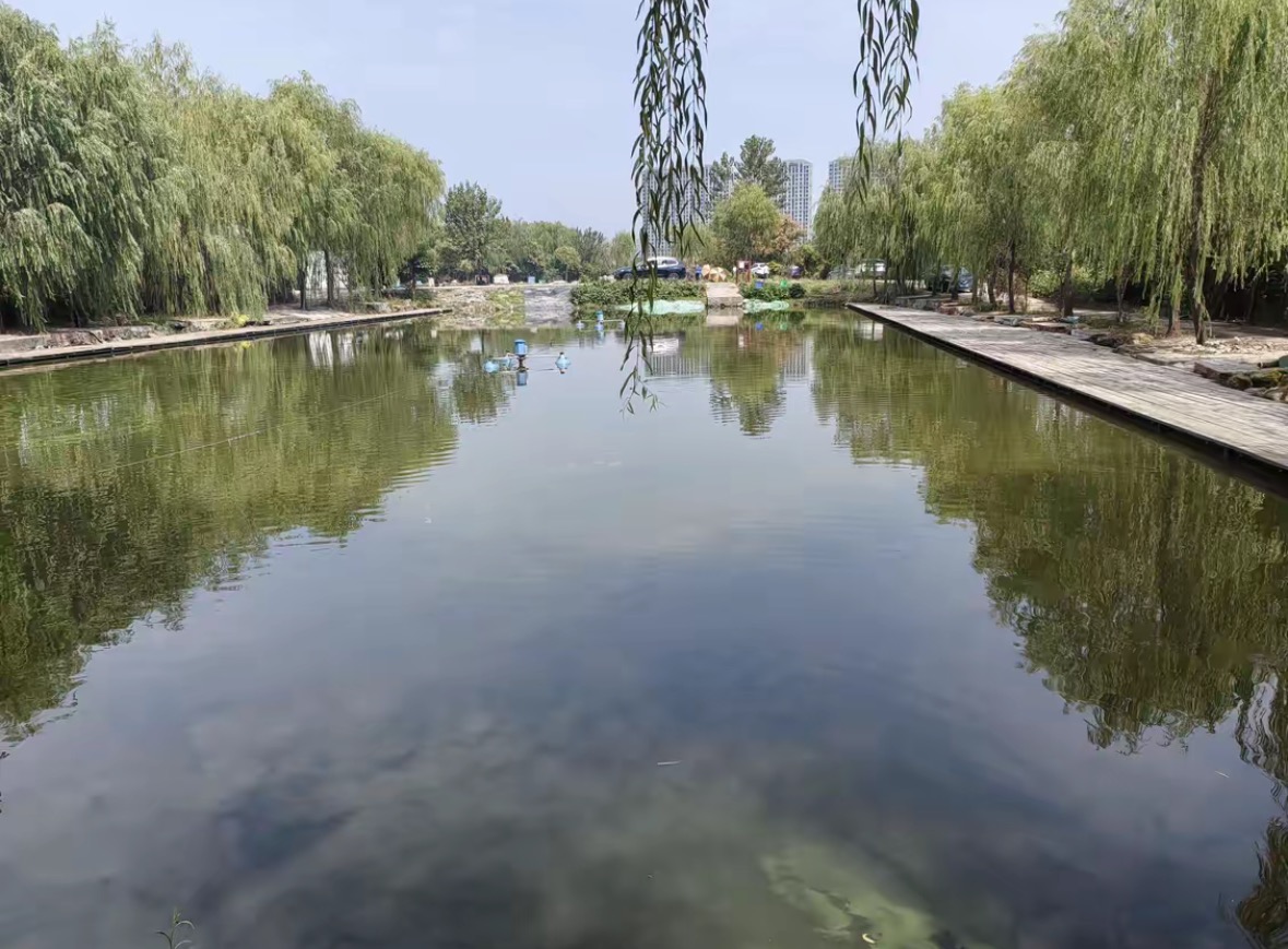 东湖欢乐钓场钓场环境缩略图