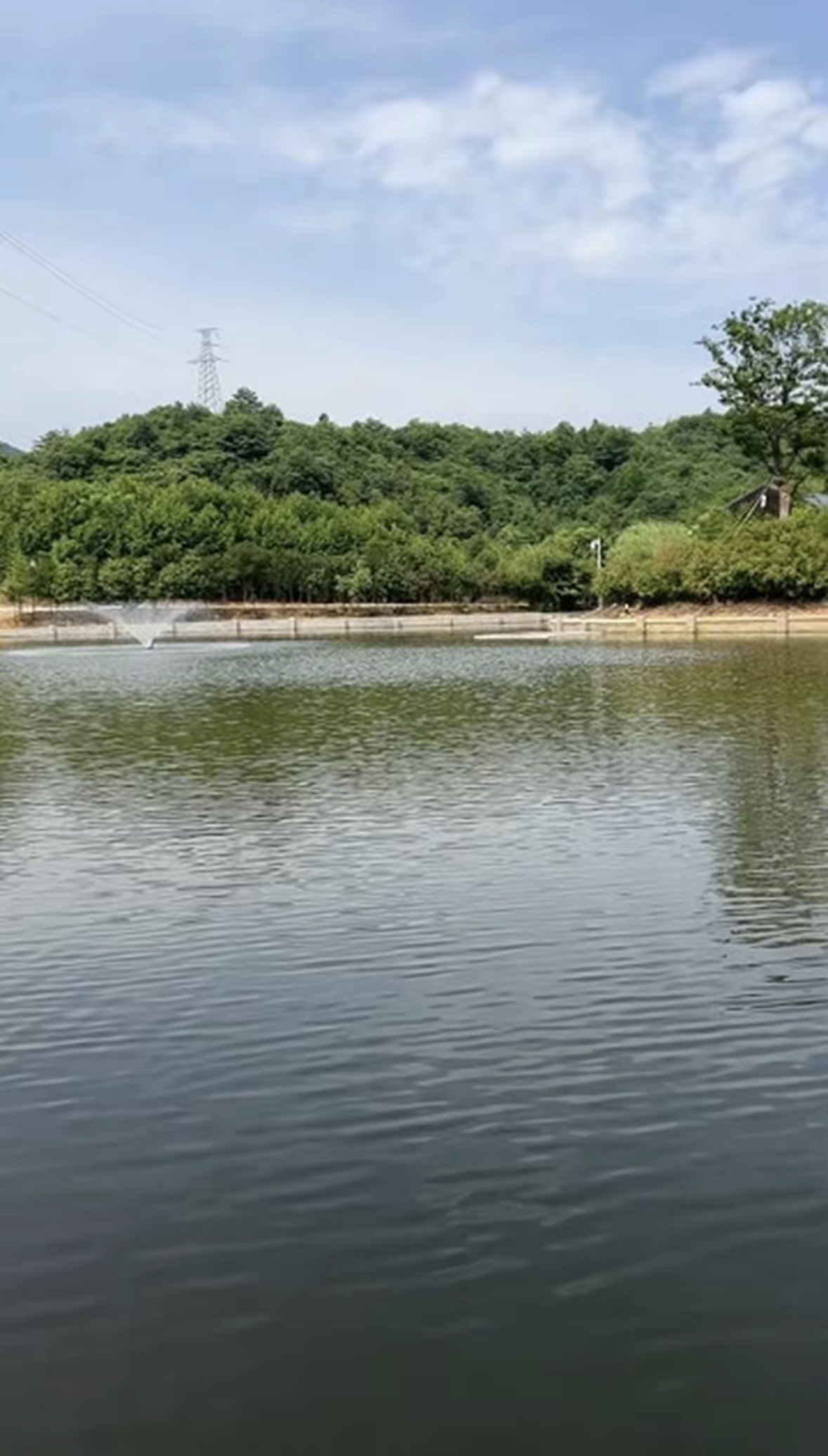 金马庄园(金山庄园)钓场环境缩略图