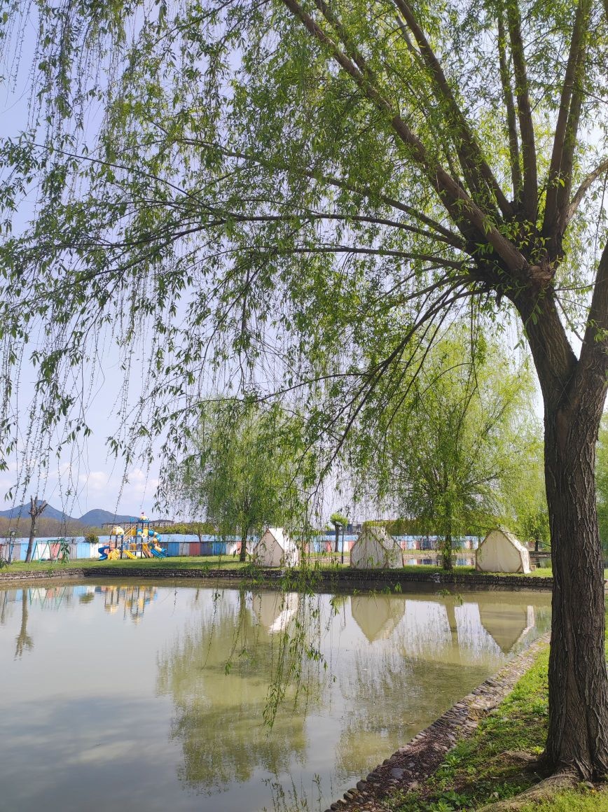 原乡荷花塘小龙虾垂钓区钓场环境缩略图