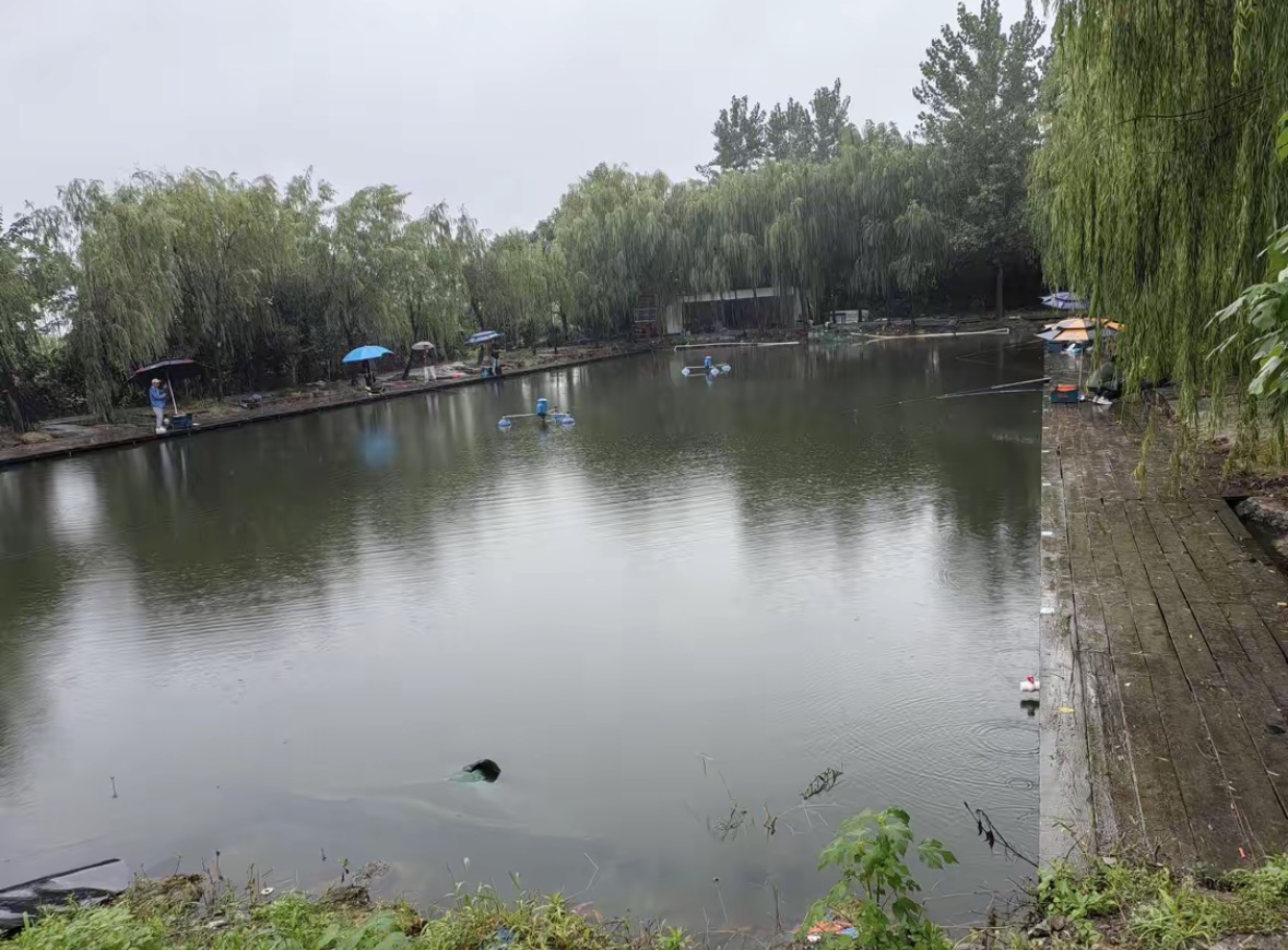 东湖欢乐钓场钓场环境缩略图