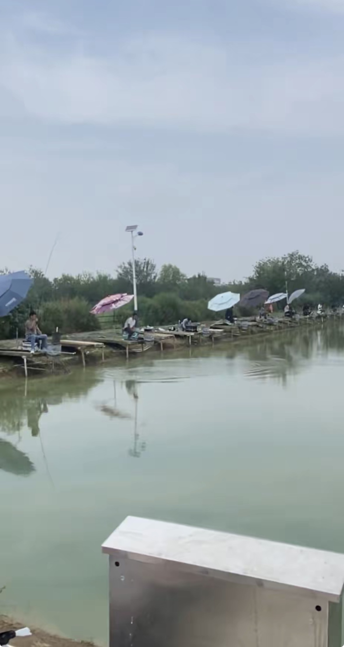 爱福垂钓中心钓场环境缩略图