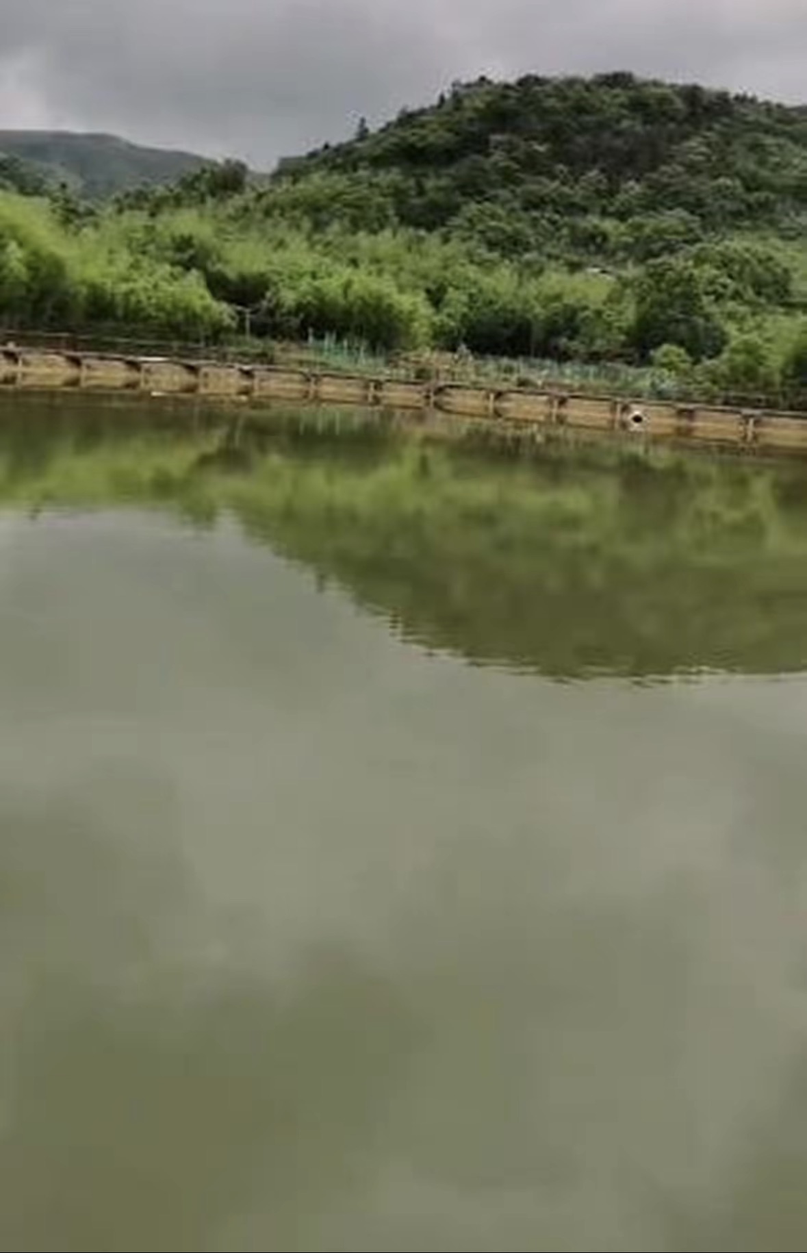 氧养渔乐垂钓园钓场环境缩略图