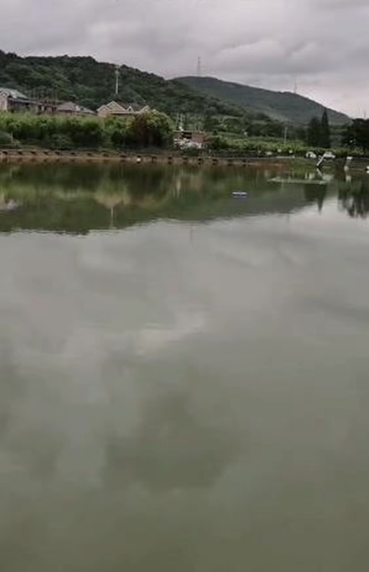 氧养渔乐垂钓园钓场环境缩略图