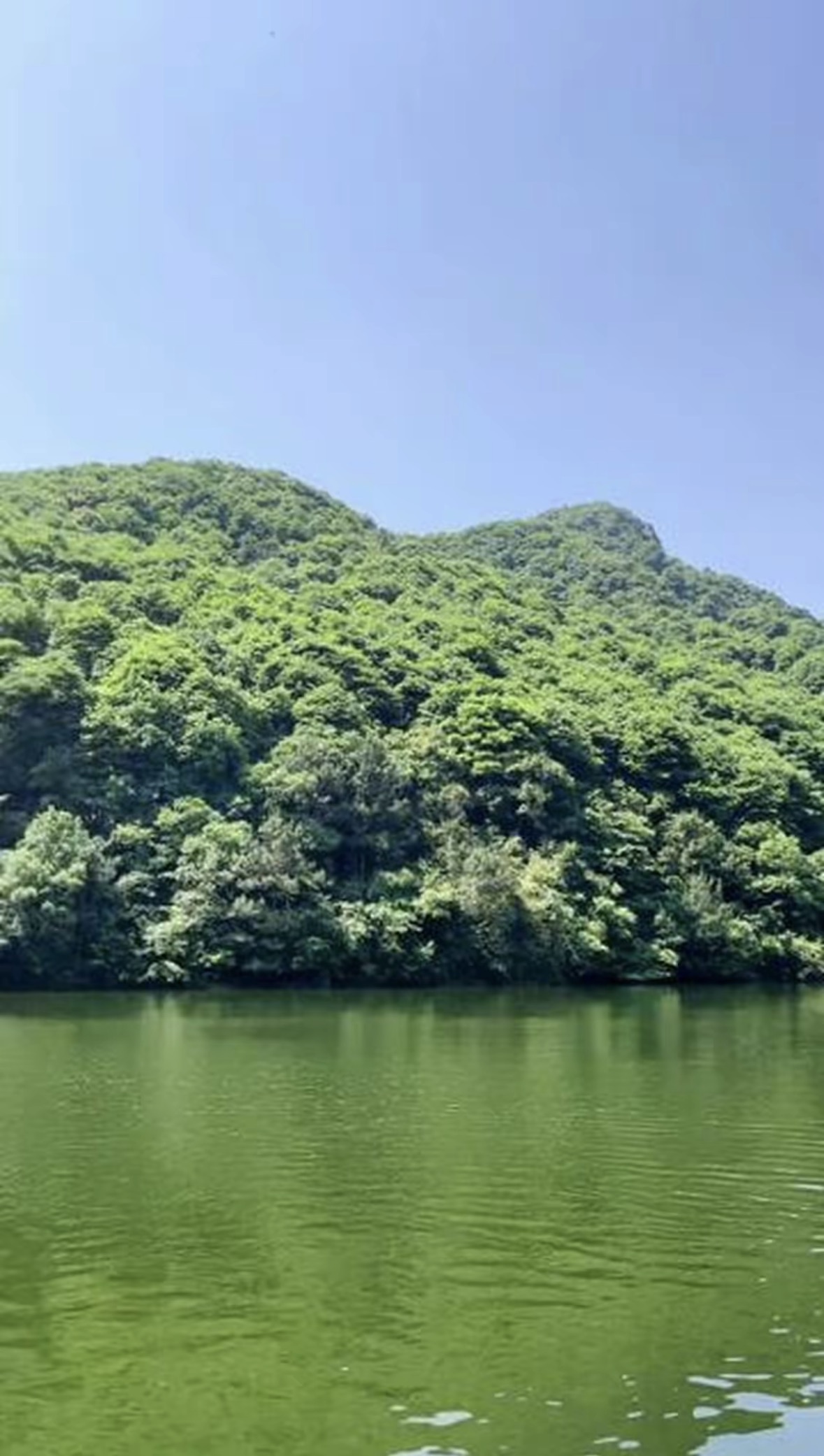 大岭农庄钓场环境缩略图
