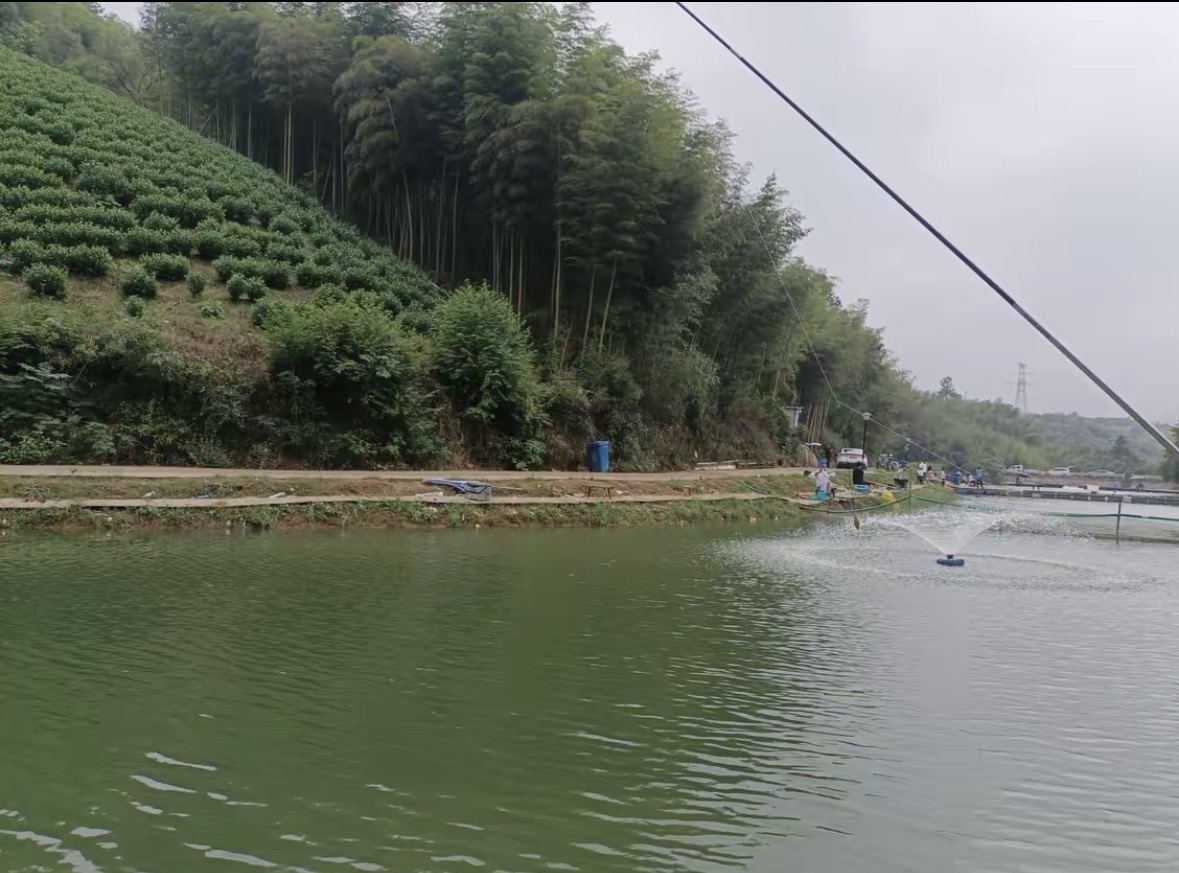 南山坑休闲垂钓中心钓场环境缩略图
