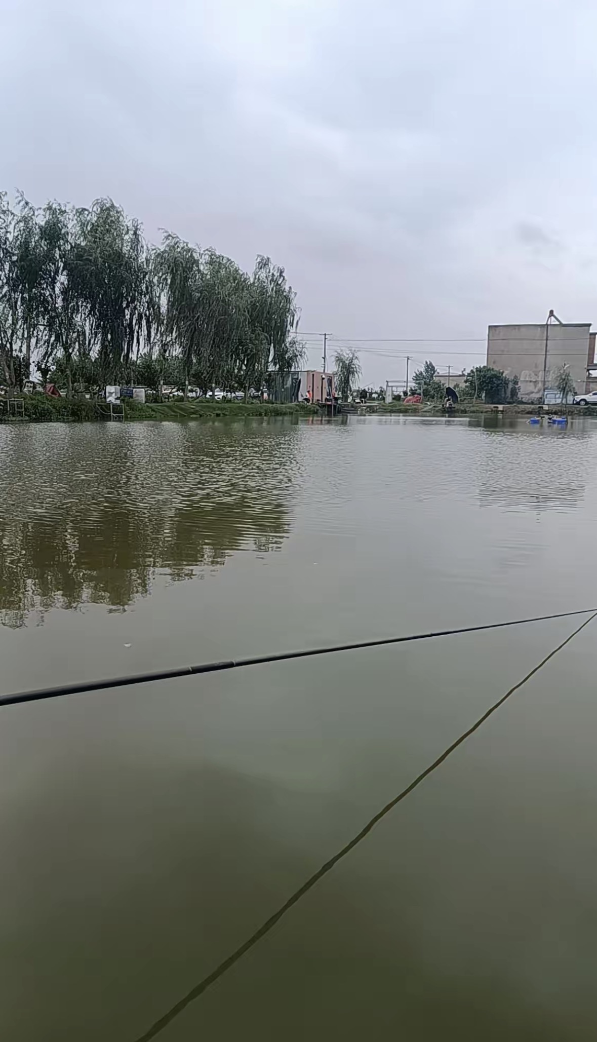 小虎哥休闲垂钓钓场环境缩略图