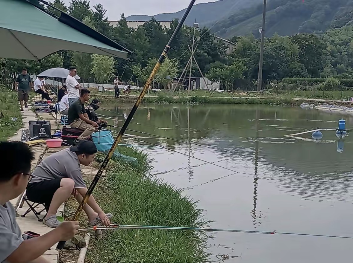 杭富垂钓园钓场环境缩略图