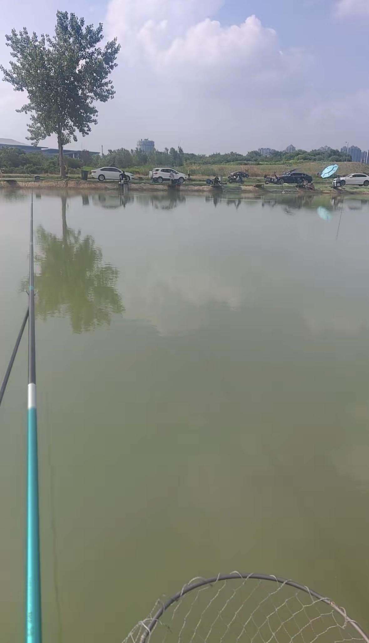 东兴钓场钓场环境缩略图