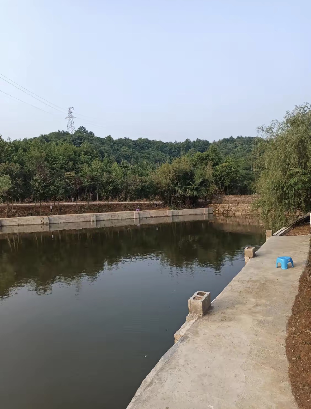 金马庄园(金山庄园)钓场环境缩略图