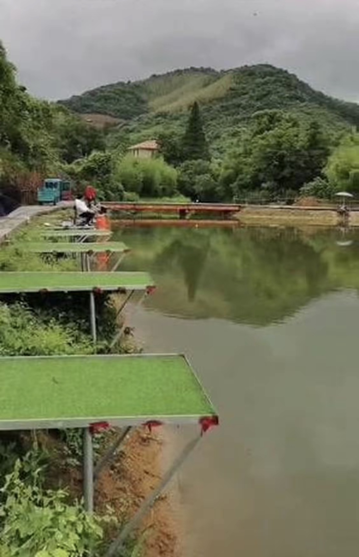 氧养渔乐垂钓园钓场环境缩略图