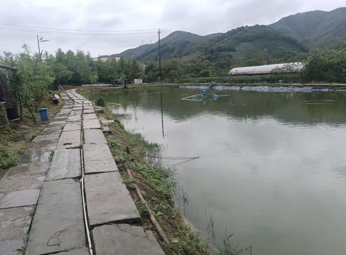 杭富垂钓园钓场环境缩略图