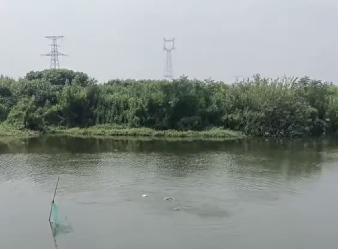 庙太漾休闲钓场钓点与钓场环境照片