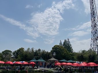 小渔塘垂钓园钓场环境照片