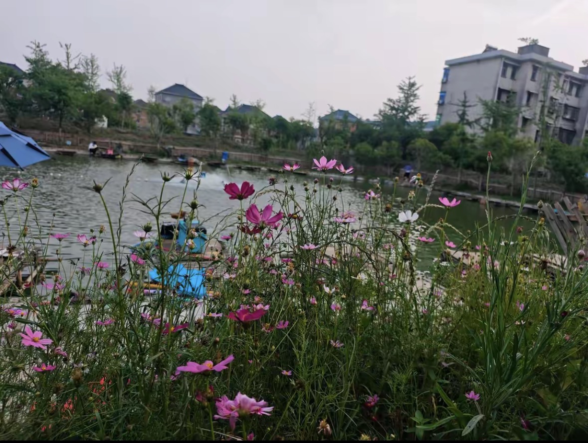 江南钓场钓点与钓场环境照片