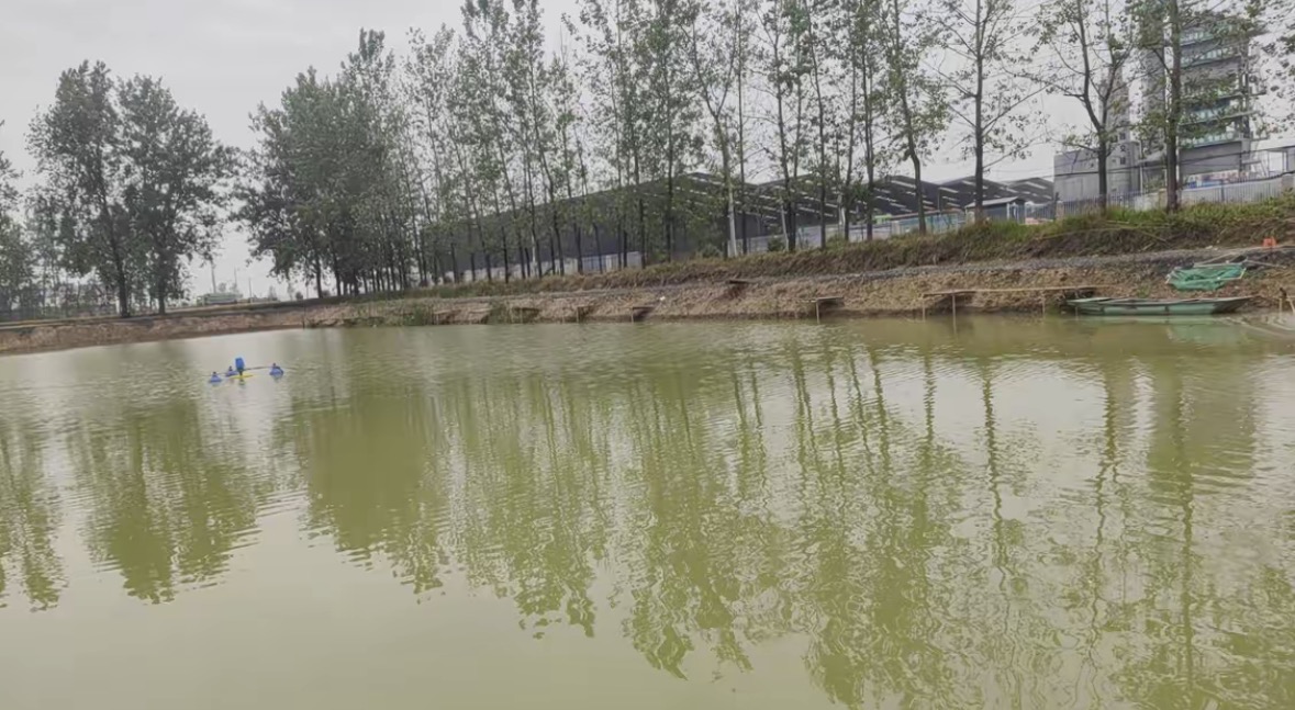 包集垂钓中心钓场环境缩略图