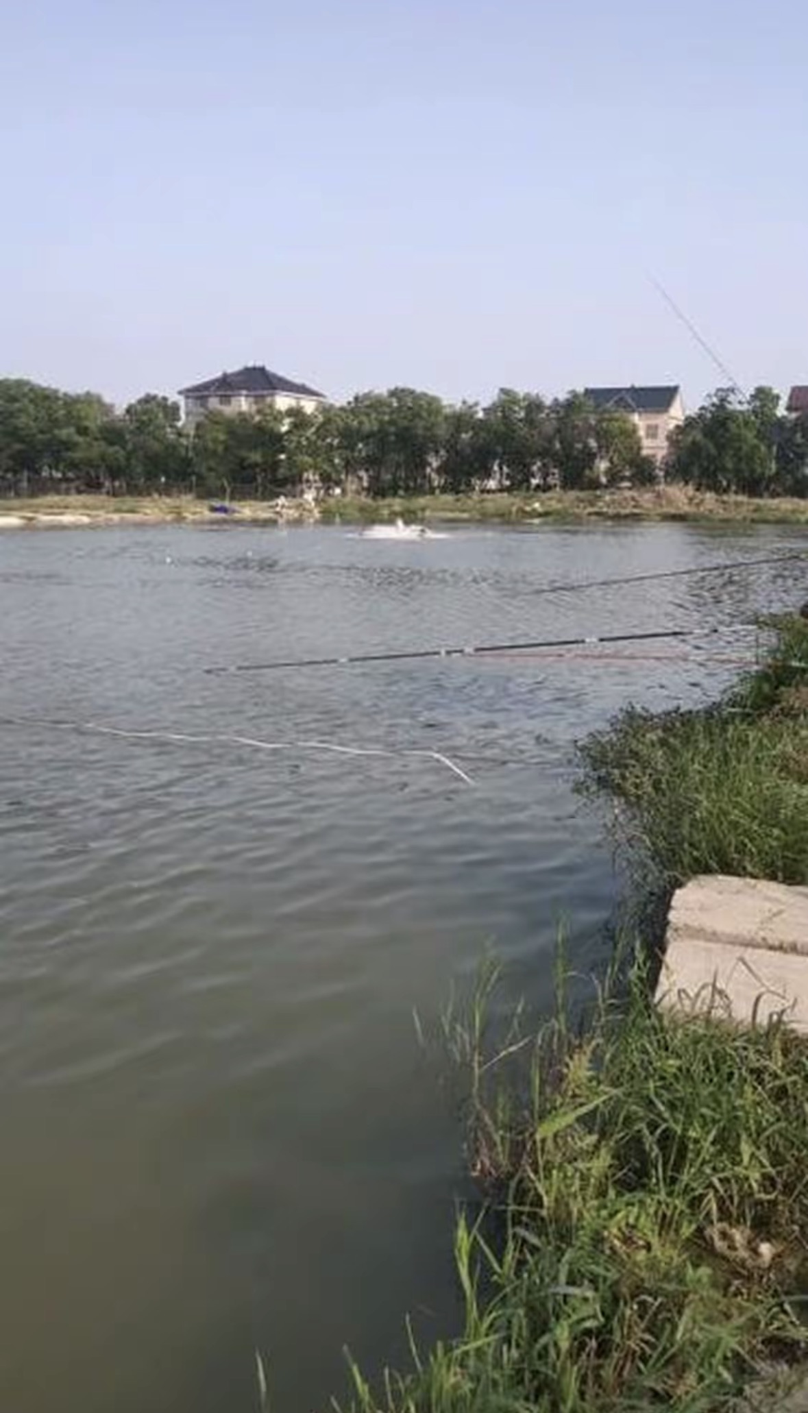瓜沥西湖池农庄钓场环境照片