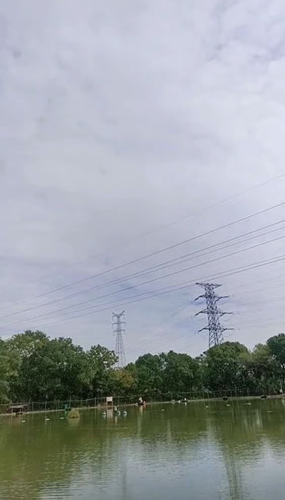 新快乐垂钓俱乐部钓场环境缩略图