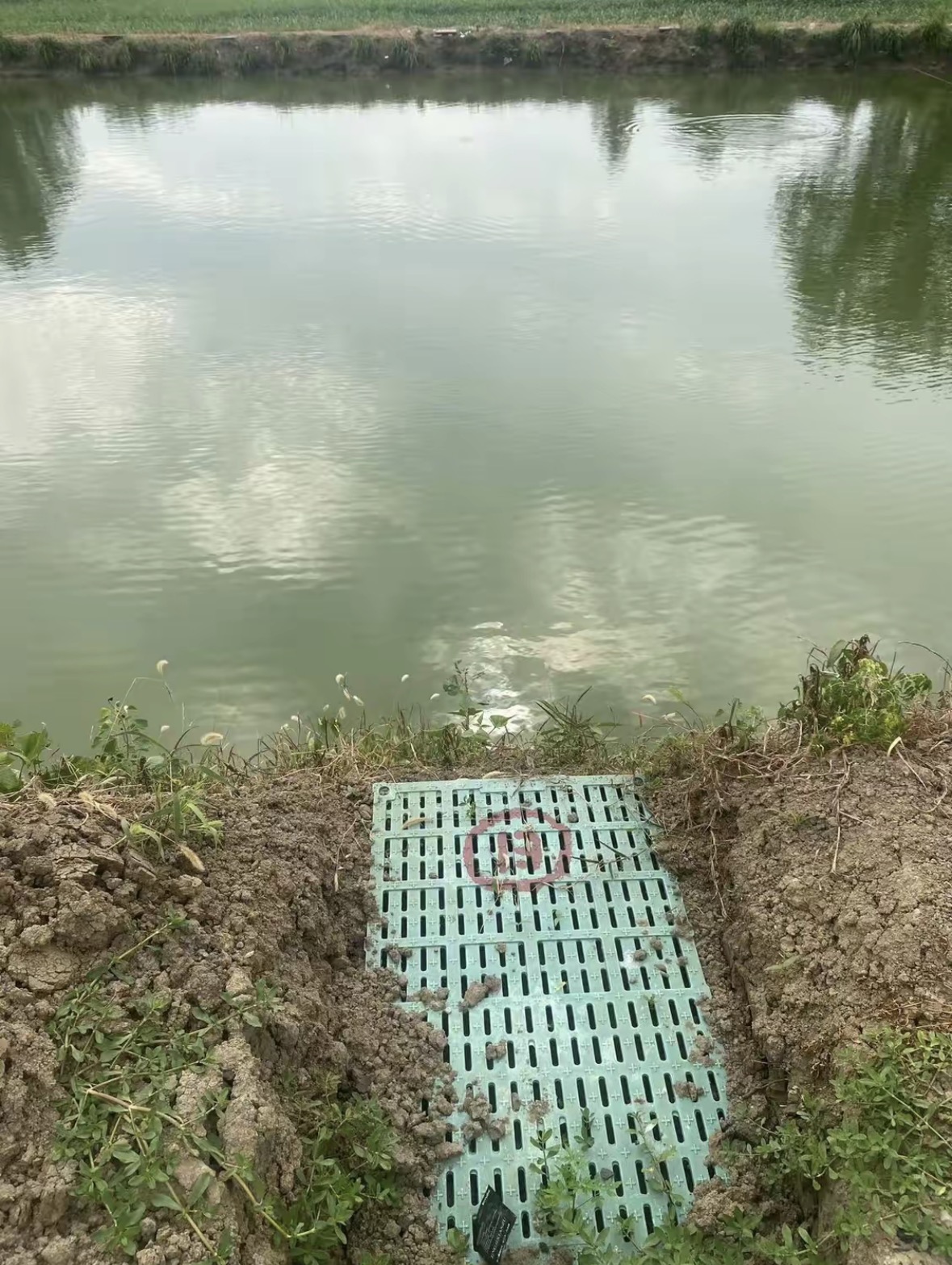 江湖鱼舍凤台快乐e天休闲垂钓园钓场环境缩略图
