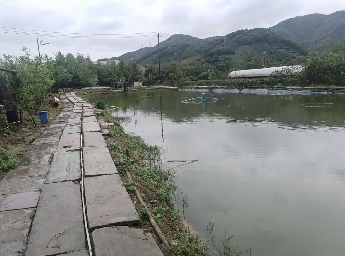 杭富垂钓园钓场环境缩略图