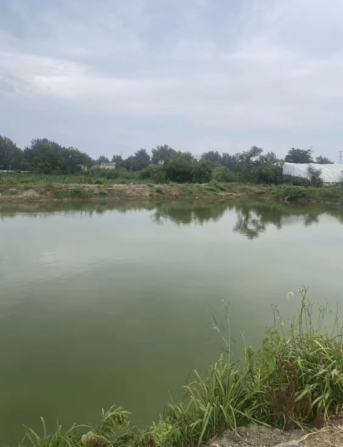 江湖鱼舍凤台快乐e天休闲垂钓园钓场环境缩略图