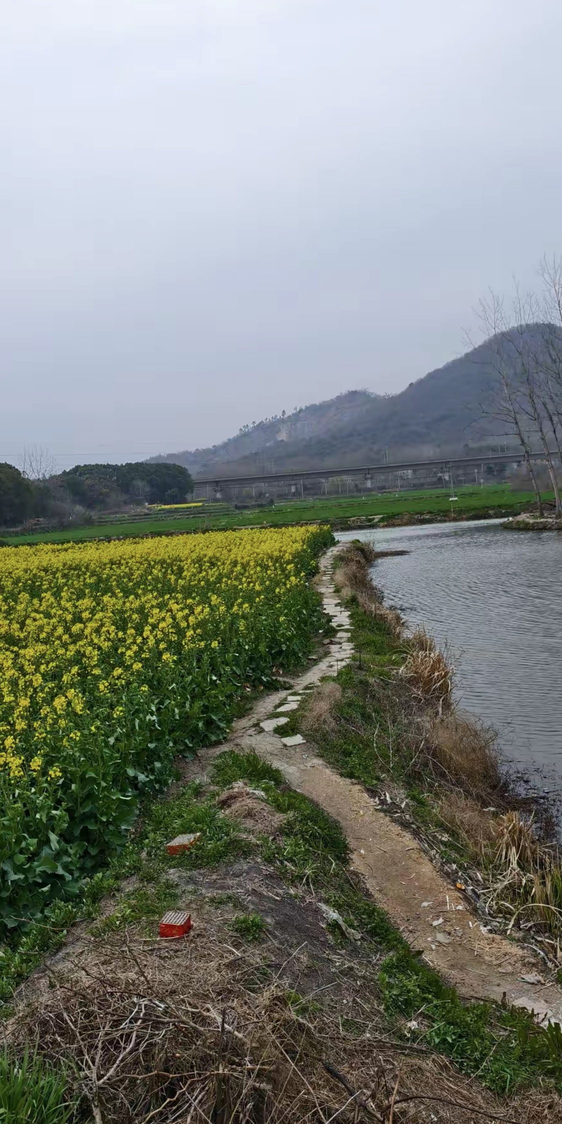 茶亭垂钓钓场环境缩略图
