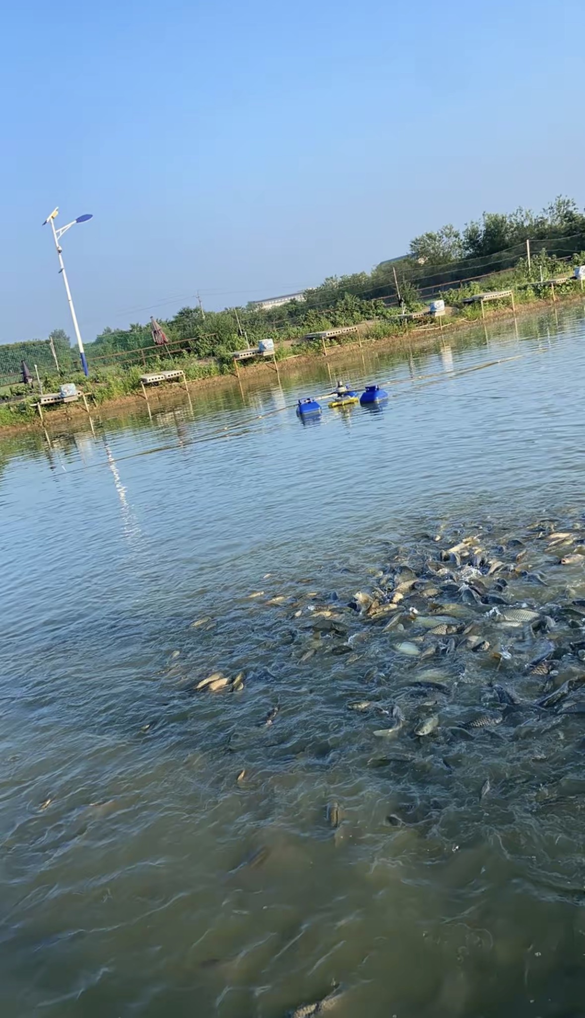 爱福垂钓中心钓场环境缩略图