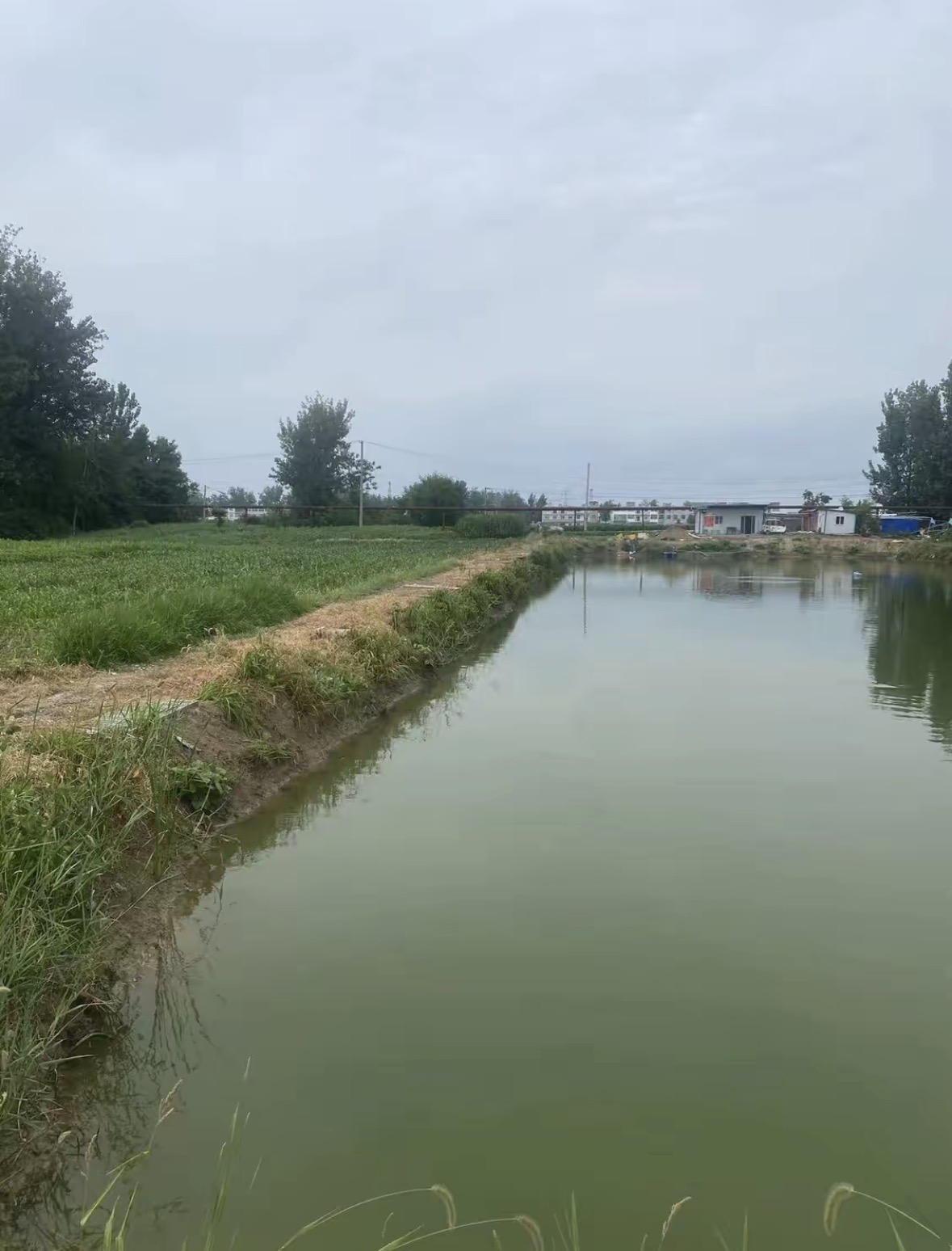 江湖鱼舍凤台快乐e天休闲垂钓园钓场环境缩略图
