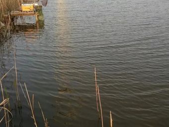 崇明岛小胡钓场钓场环境照片