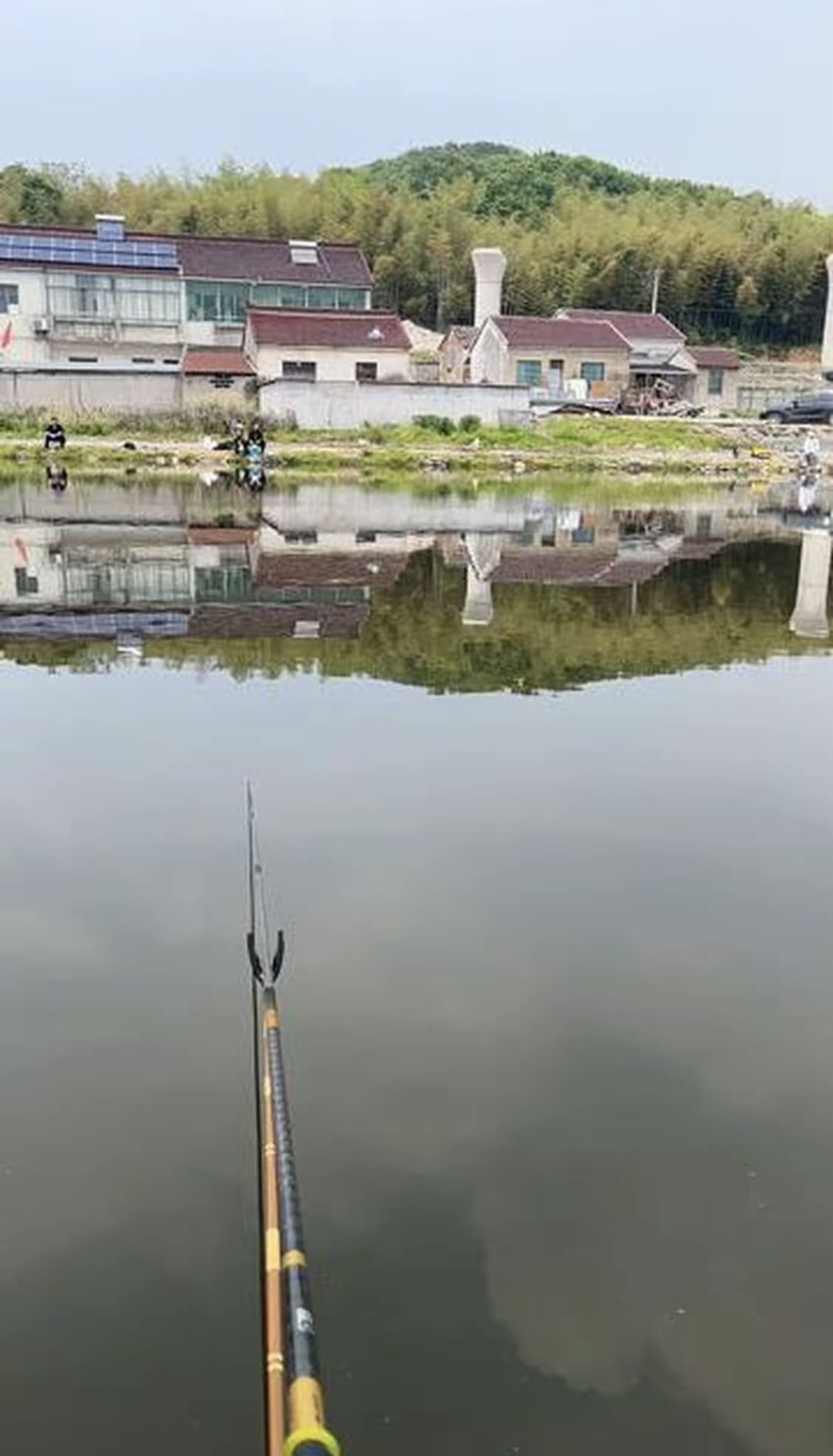 临在农庄钓场钓场环境缩略图