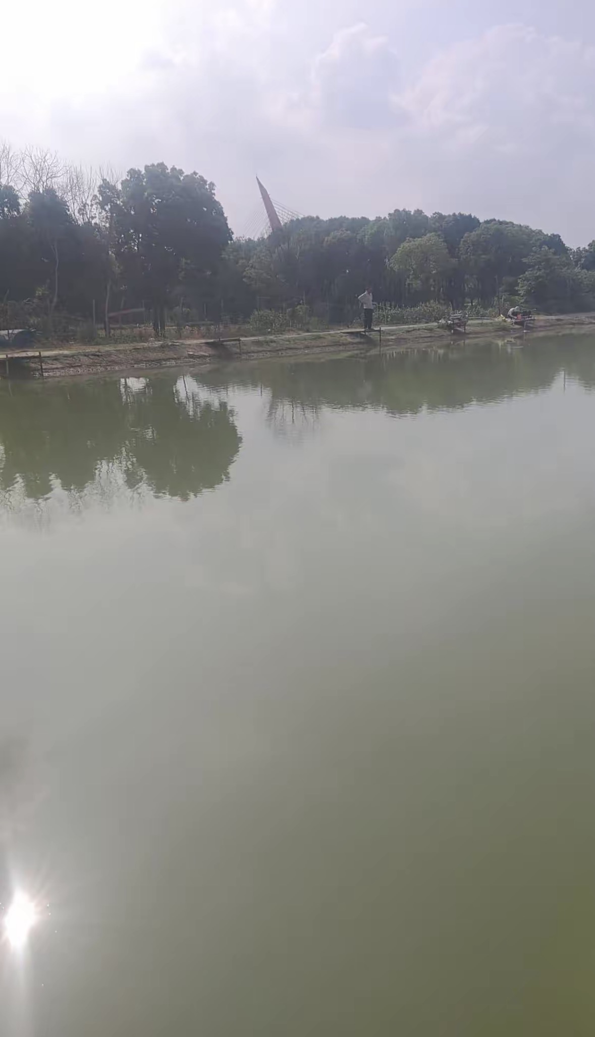 东兴钓场钓场环境缩略图