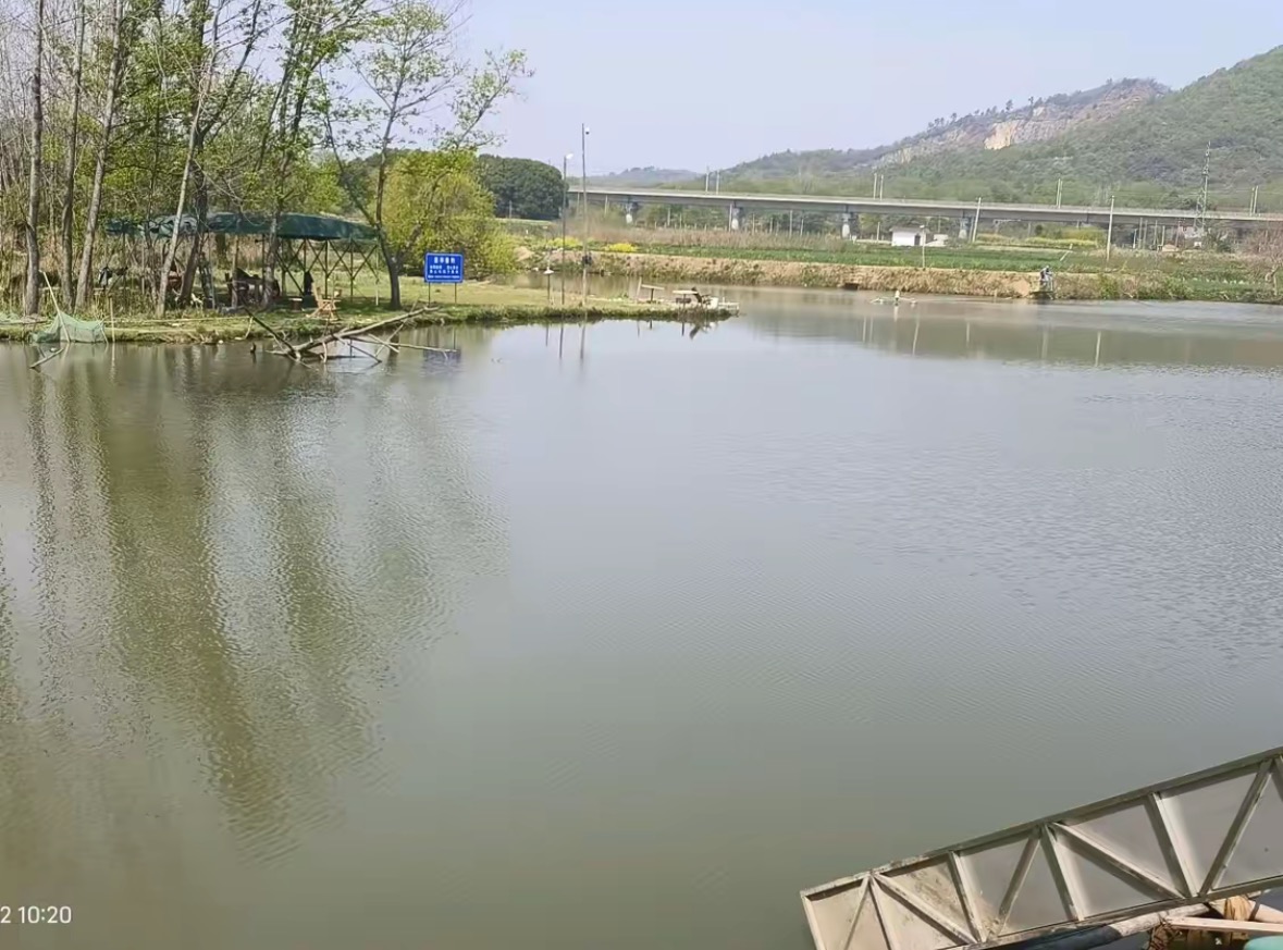茶亭垂钓钓点与钓场环境照片